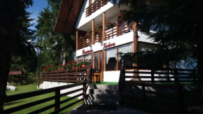 Comuna Dorna - Arini